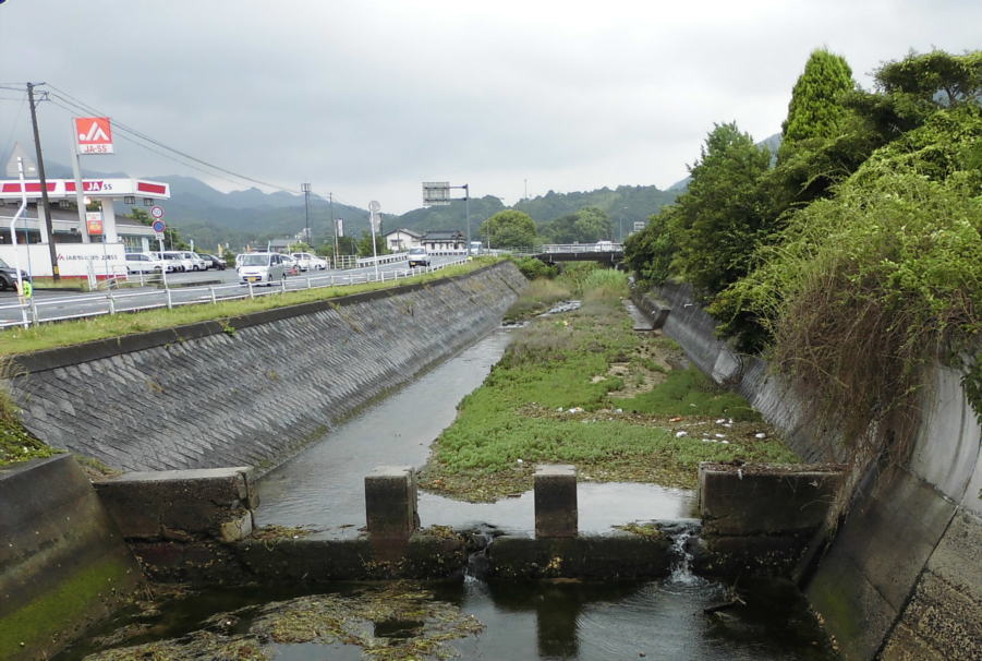 井口本川