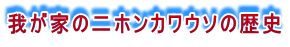 我が家の二ホンカワウソの歴史